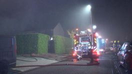 Woningen ontruimd bij brand in schuurtjes Kapelle