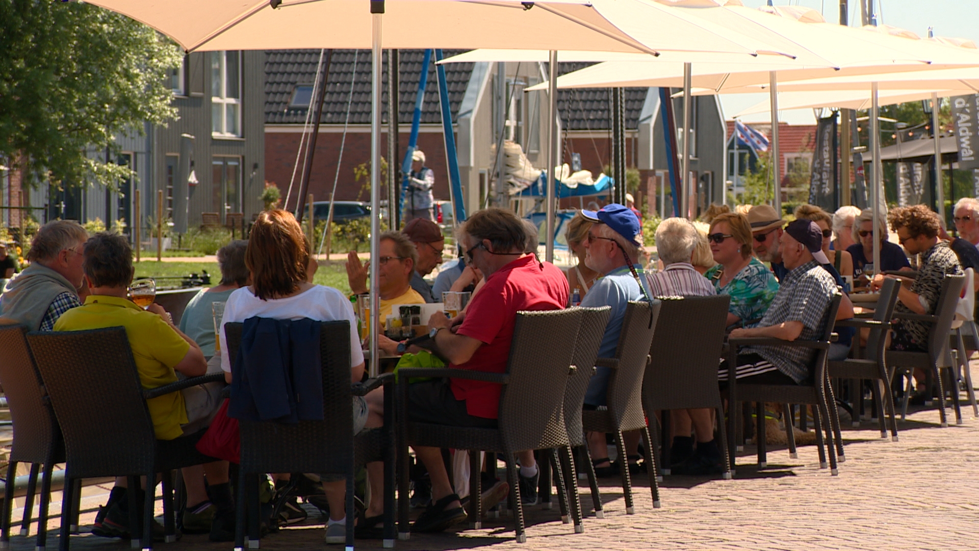 Ek by de terrassen fleane nochal ris wat ealjebijen om
