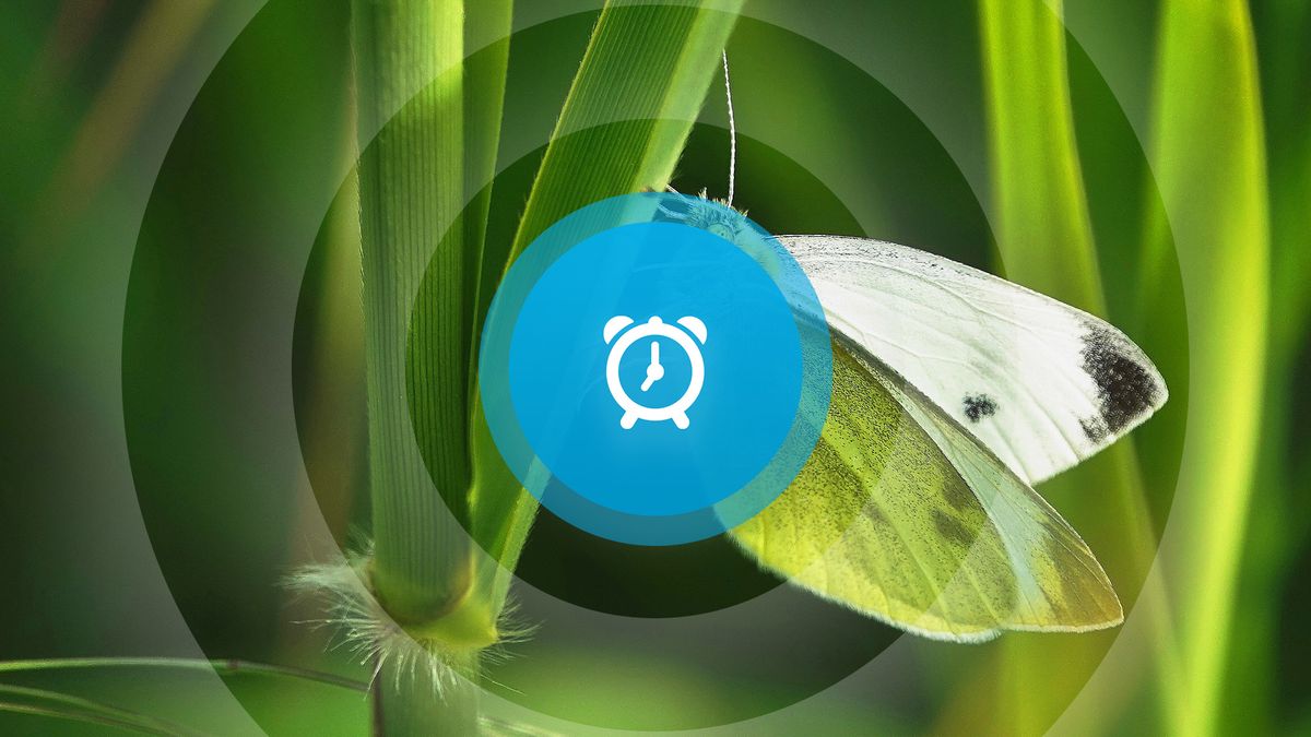 Goedemorgen! Zeeuwen verdienen het minste, rommelmarkt in Retranchement en regenbuien