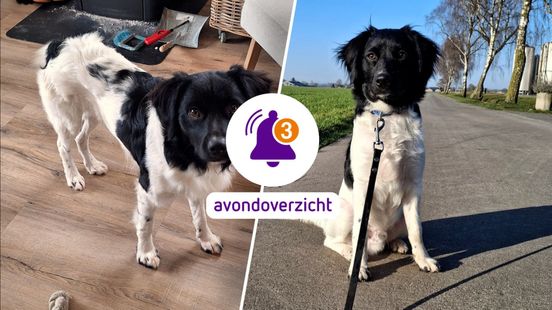 Nieuwsoverzicht: het weer tolt om ons heen, Mohammed stopte bijlman en Teun is terug