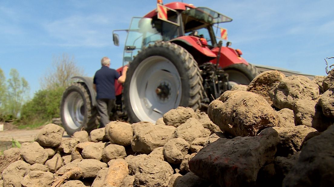 Belangstelling voor biologisch boeren neemt toe in Zeeland