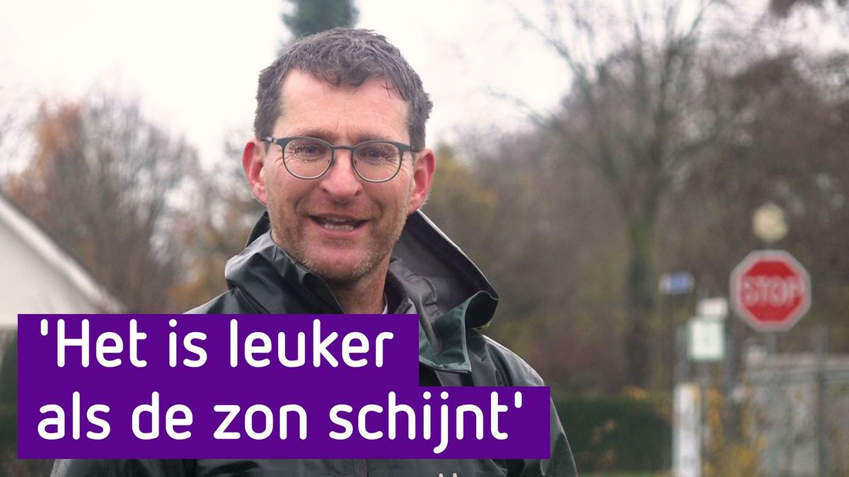 Op steeds meer plaatsen worden heggen aangeplant als vervanging van