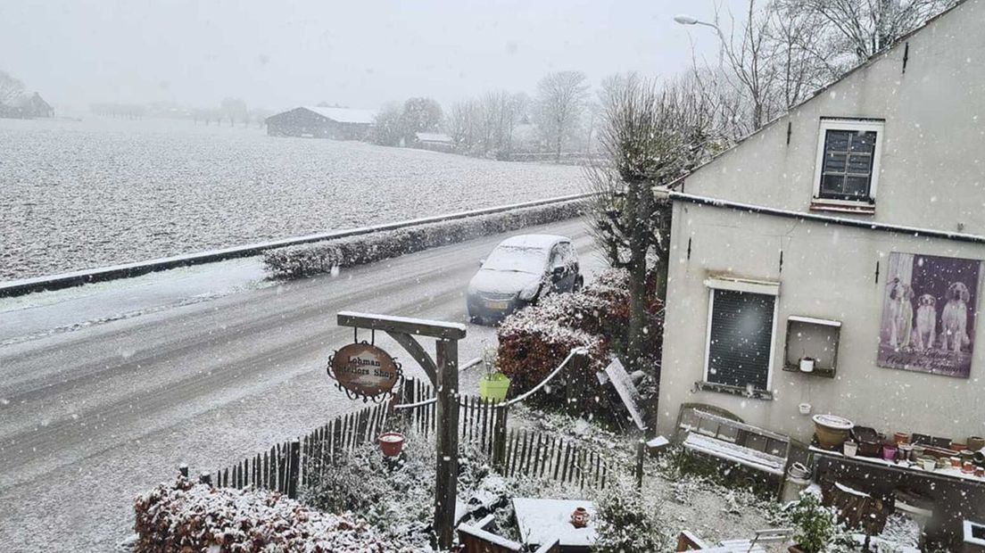 Ook sneeuw in Nieuwvliet