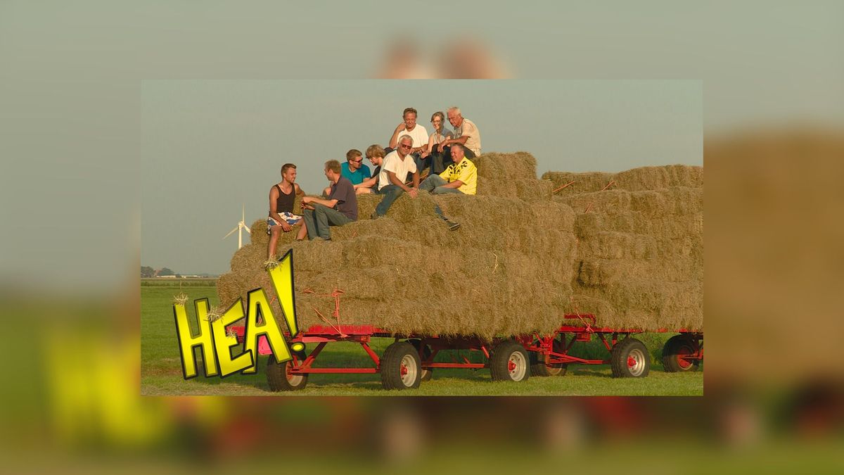 HEA! in het hooi van Idsegahuizum