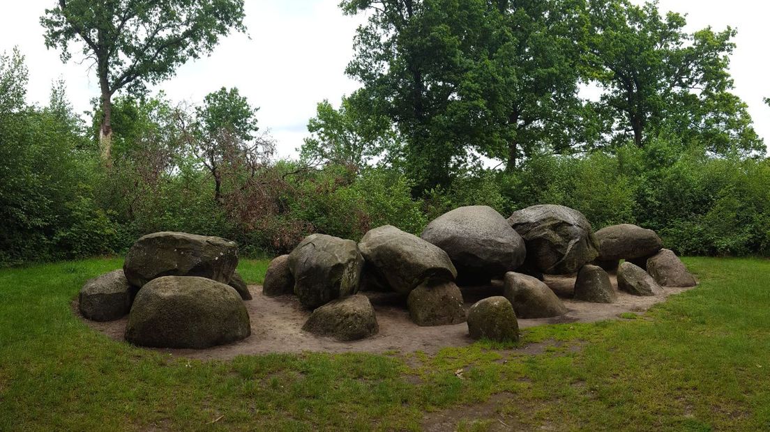 Planten en bomen rondom het hunebed in Diever (Rechten: RTV Drenthe/Dylan de Lange)