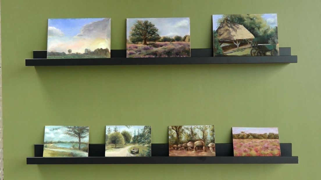 Het jonge schildertalent Fleur Stebis schilderde een paar Drentse landschappen, die te zien zijn in haar expositie.