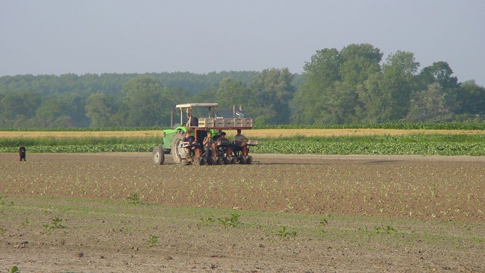 Waar komt de uitdrukking 'op zijn dooie akkertje' vandaan? - Rijnmond