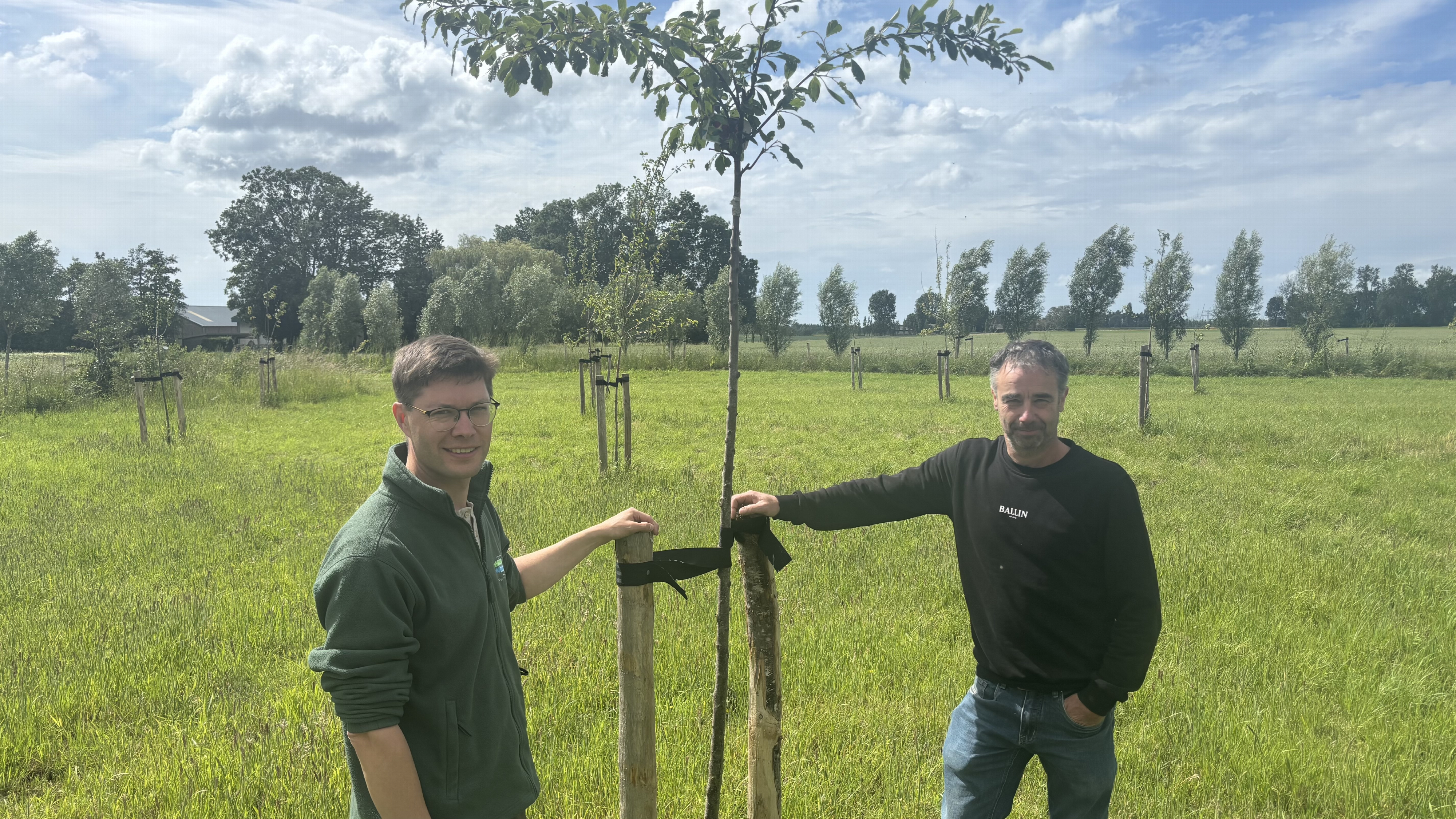 Provincie trekt tot twee ton uit voor nieuw groen: 'Er zijn meer landschapselementen nodig'