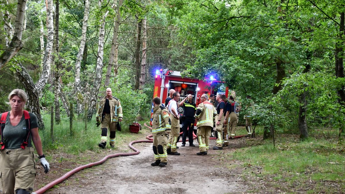 Bosbrand bij Kapellebrug onder controle, veertig Nederlandse en Belgische brandweerlieden ingezet