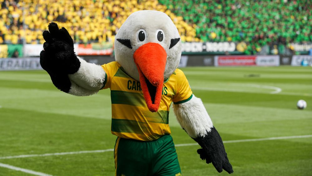 Identiteit van man in ooievaar van ADO Den Haag eindelijk onthuld: 'Ik