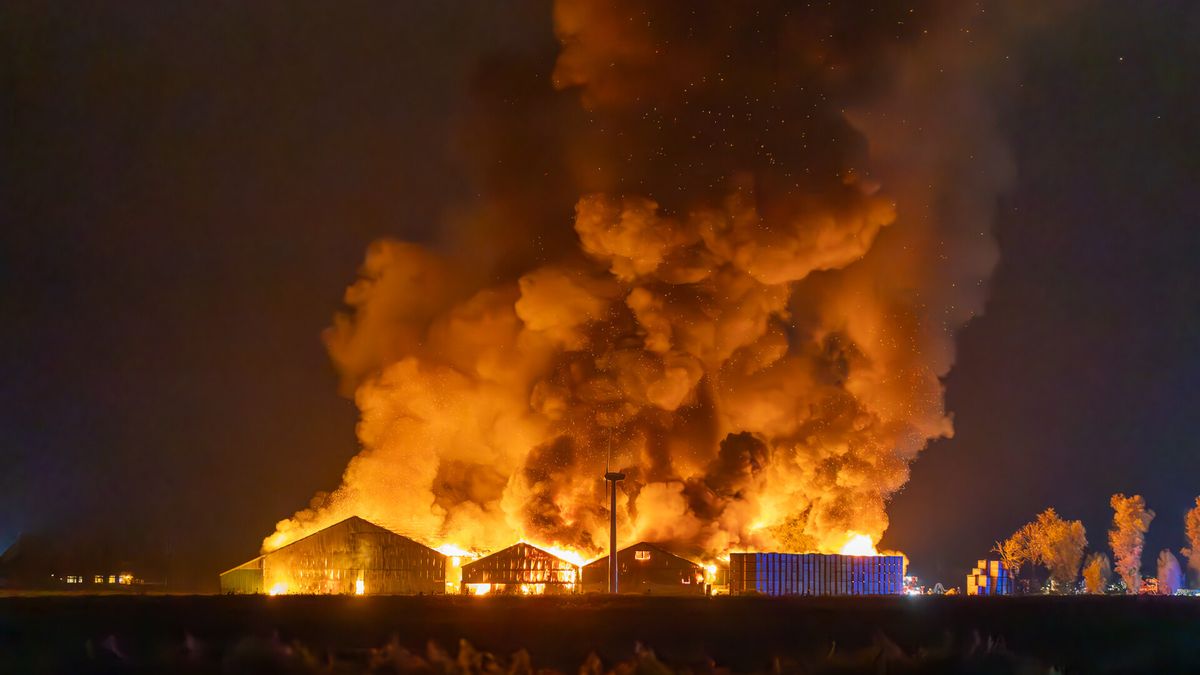 Negen maanden cel en tbs voor vrouw die brandstichtte in Ternaard