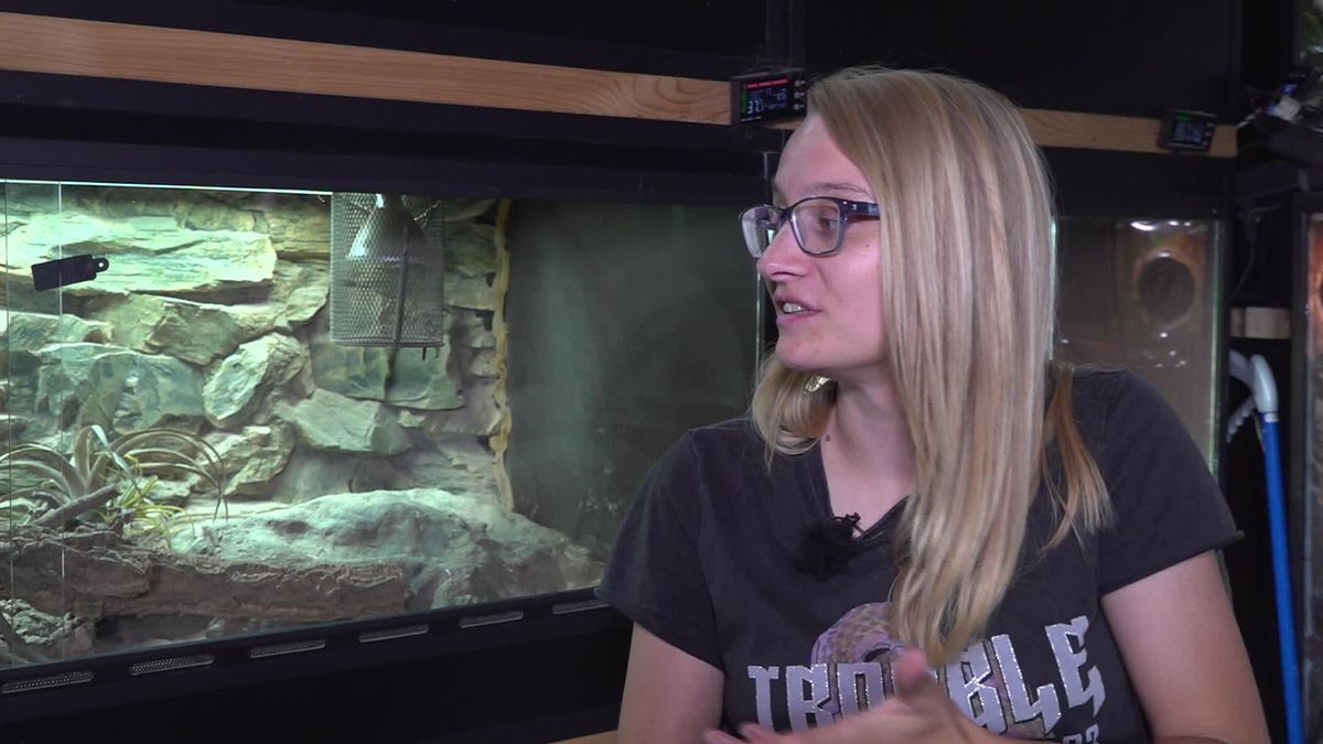 Lars en Milou uit Overdinkel willen vooroordelen over reptielen wegnemen: 