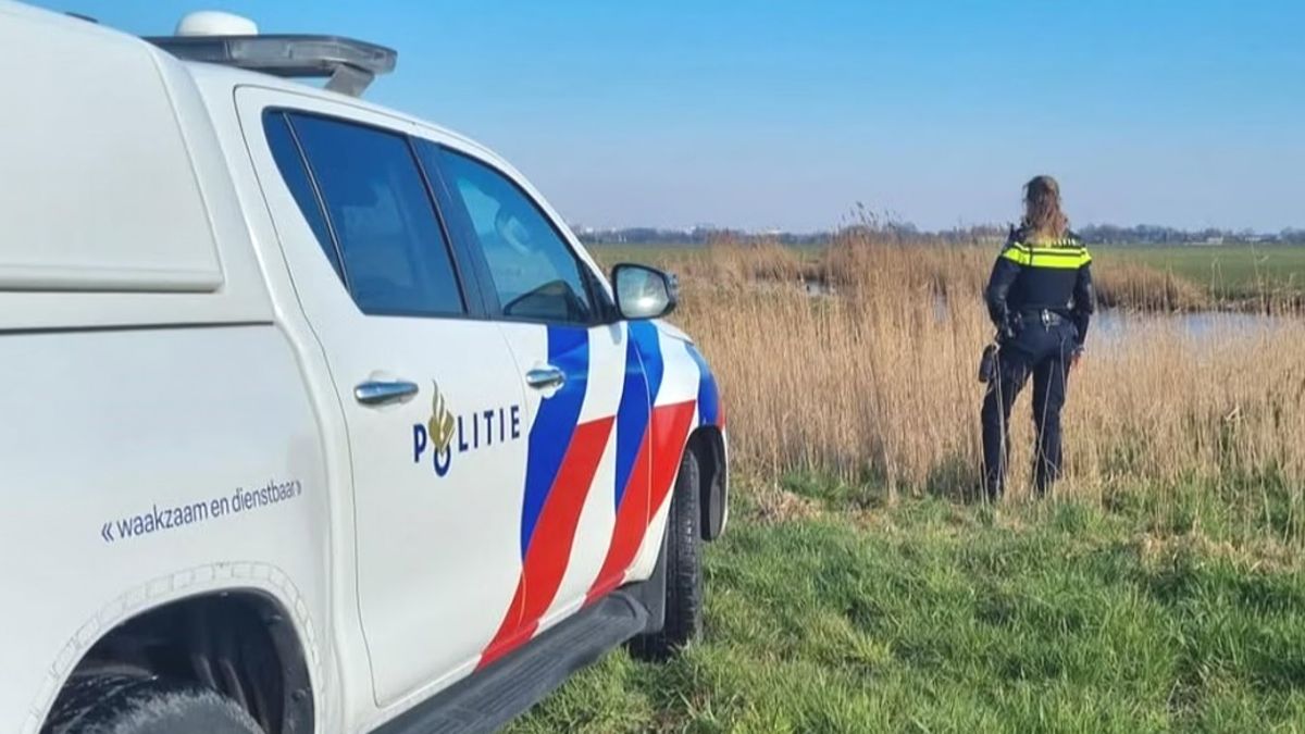 Dode schapen gedumpt tussen het riet