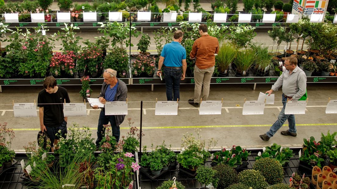 Bezoekers bekijken het plantenaanbod op de najaarsbeurs van Groen-Direkt