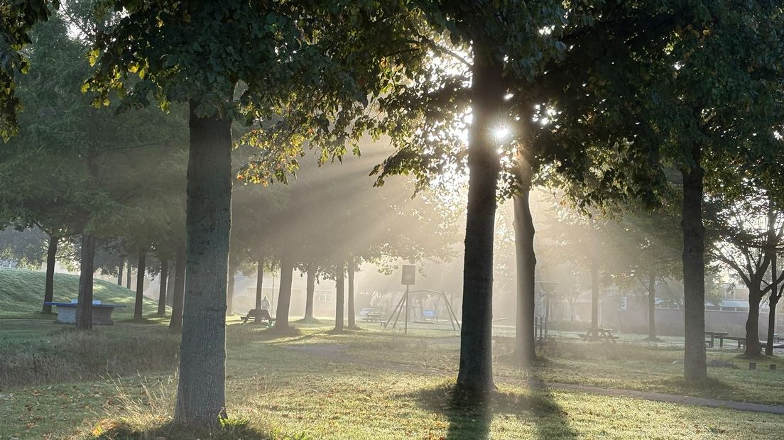 Mist in het Anne Frank park in Assen