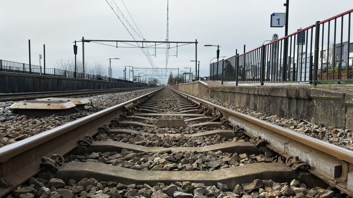Trein rijdt bovenop takken, treinverkeer lag stil tussen Kruiningen en Bergen op Zoom