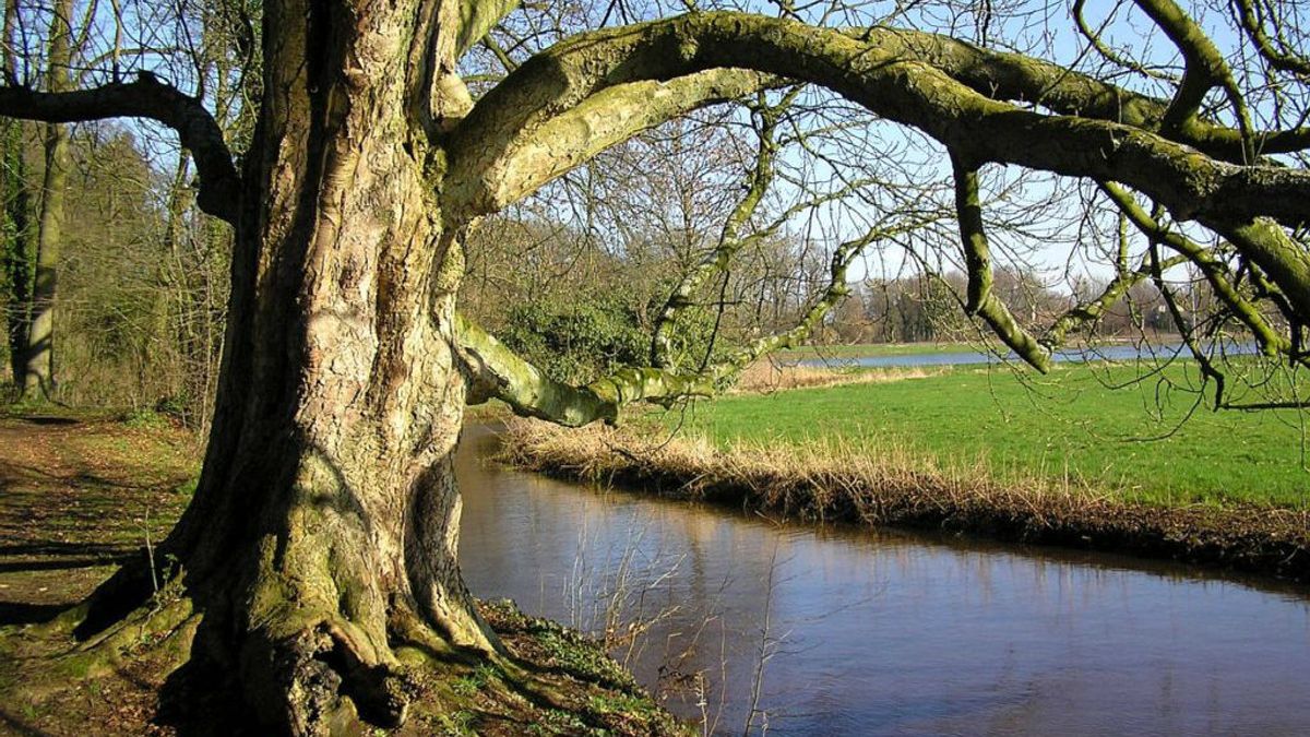 Dit weekend in de Drentse natuur: 18 en 19 augustus