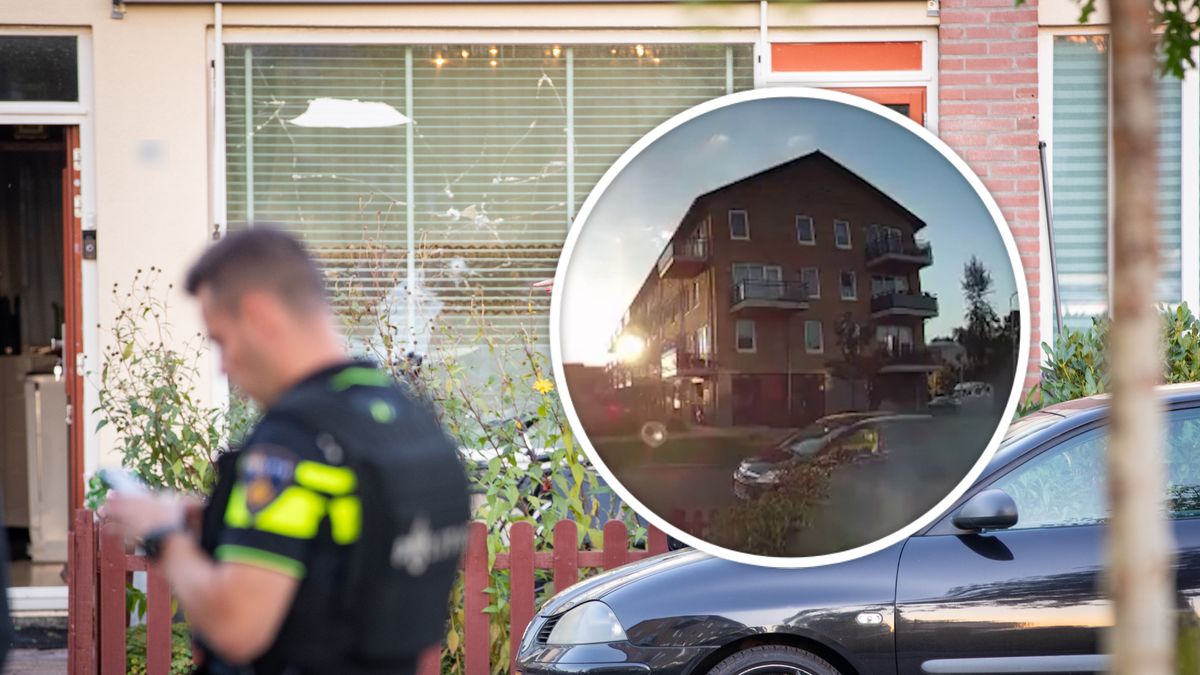 Vergisaanslag Zwolle: jonge daders horen hun straf