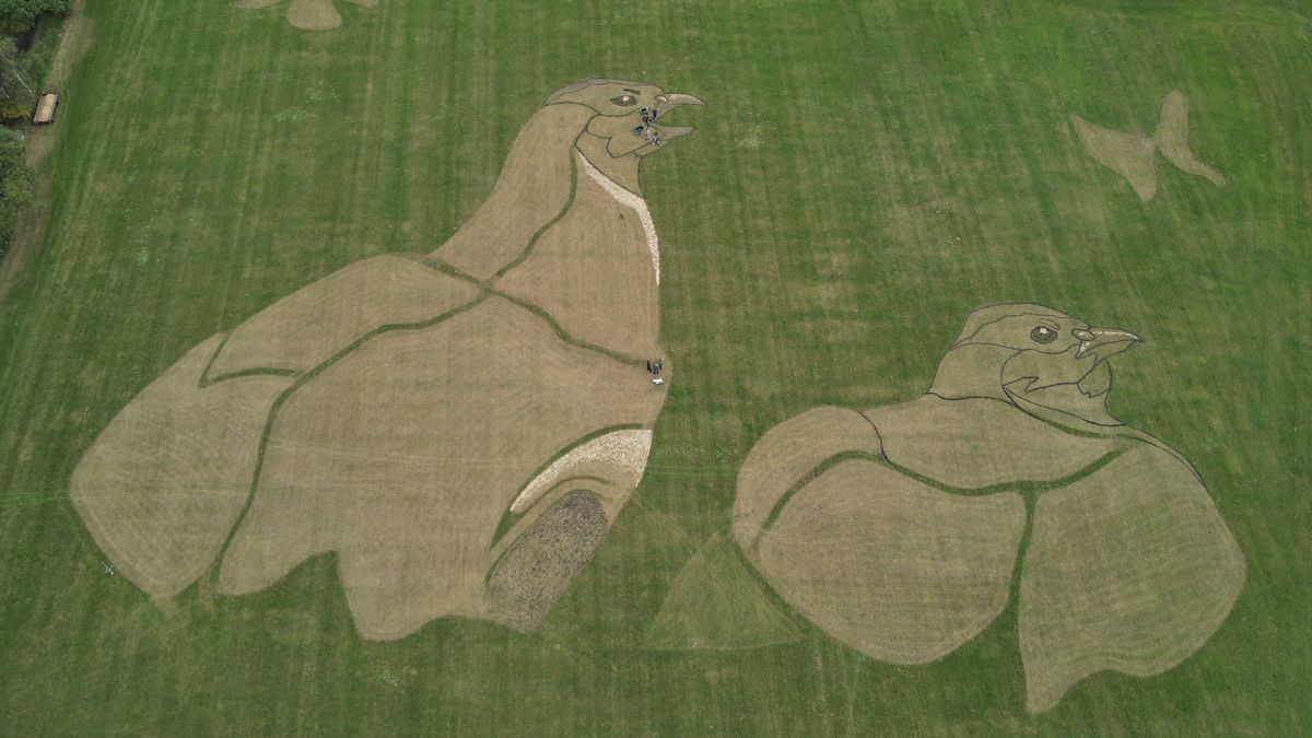 Boeren maken statement tijdens EK wielrennen: groot kunstwerk in weiland Zwiggelte