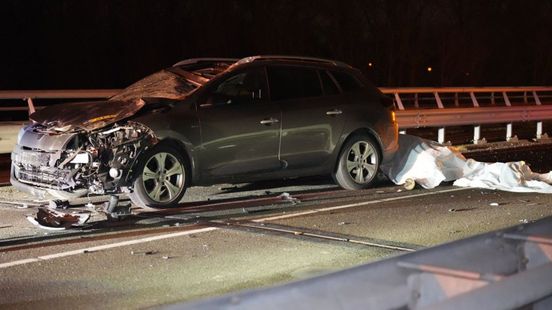 Bestuurder gewond na ongeluk, paard overleden. Bestuurder gewond na ongeluk, paard overleden.
