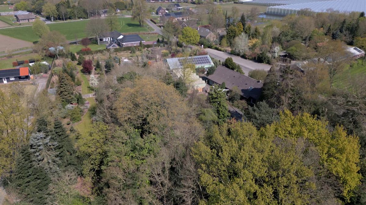 Groene Vingers: Gon en Wiel Jenniskens in Hegelsom