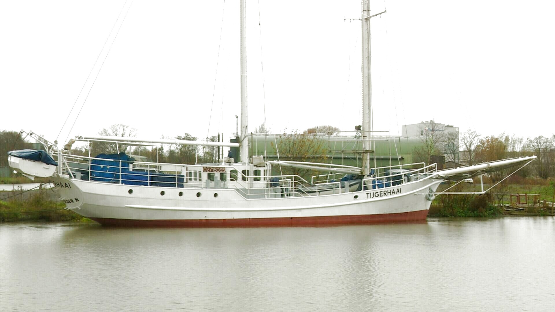 De Tijgerhaai leit no noch yn Ljouwert