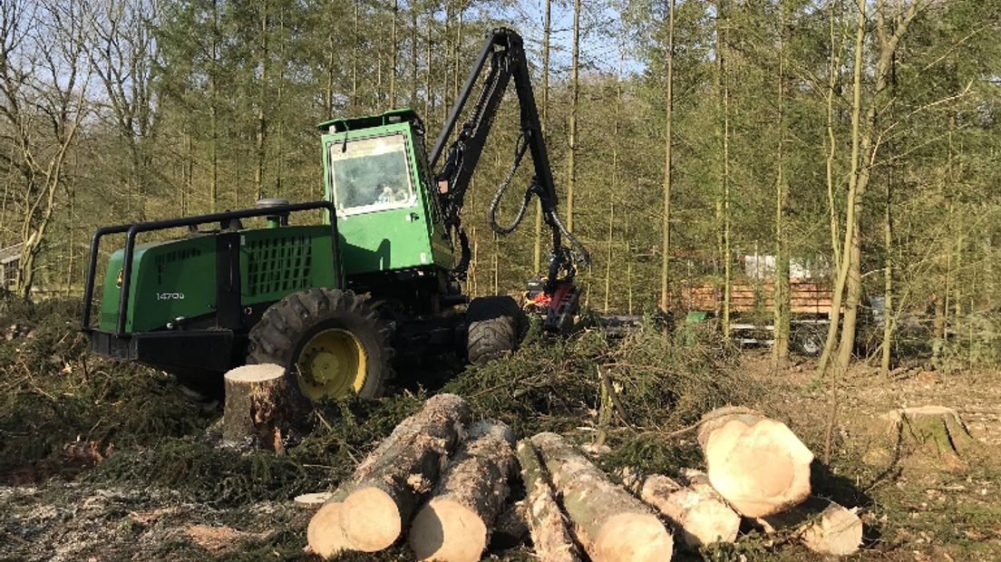 Met deze machine worden tegenwoordig bomen omgehakt (Rechten: RTV Drenthe/Jeroen Kelderman)