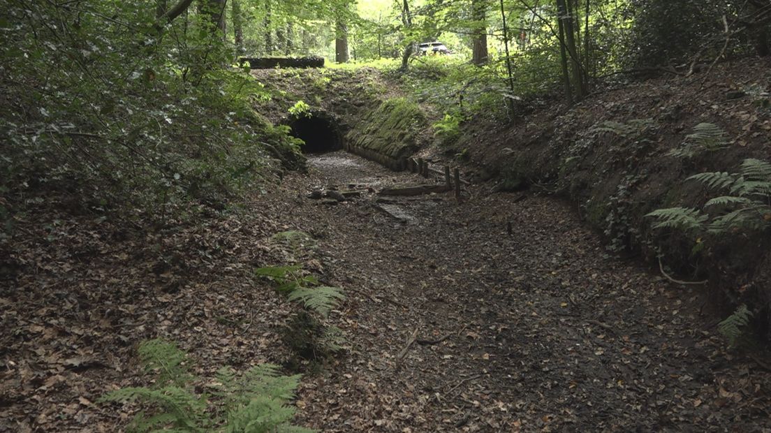 De beek bij landgoed Groot Brunnink vlakbij Enschede is volgens ecoloog Zekhuis veel te diep