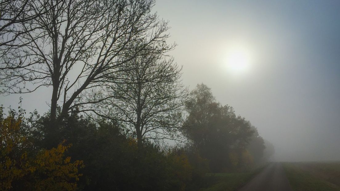 Het zicht is de hele dag beperkt door de mist (Rechten: Fred van Os/RTV Drenthe)