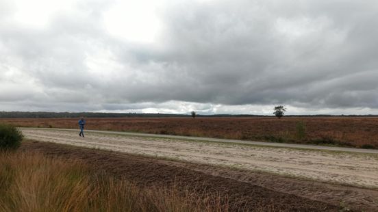 Dwingelderveld als voorbeeld natuurherstel