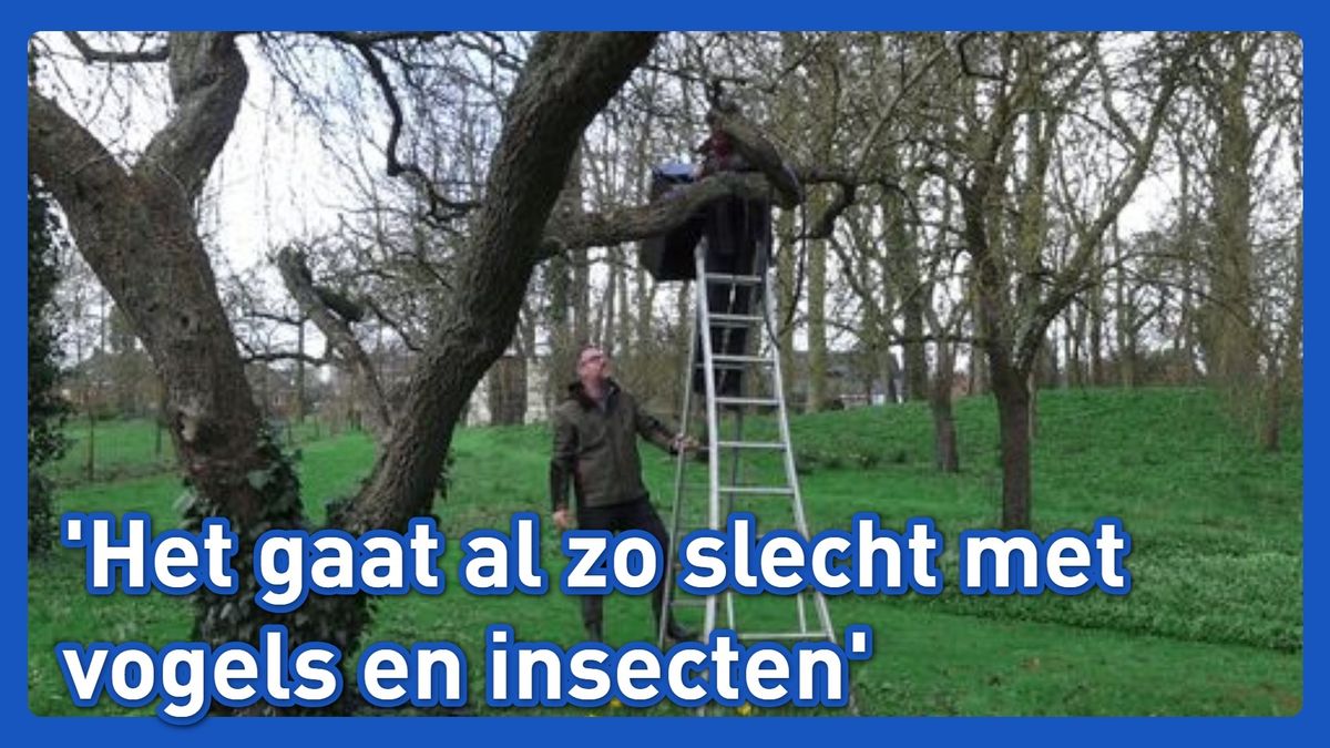 Boerenerven als toevluchtsoord voor vogels in Noord-Groningen