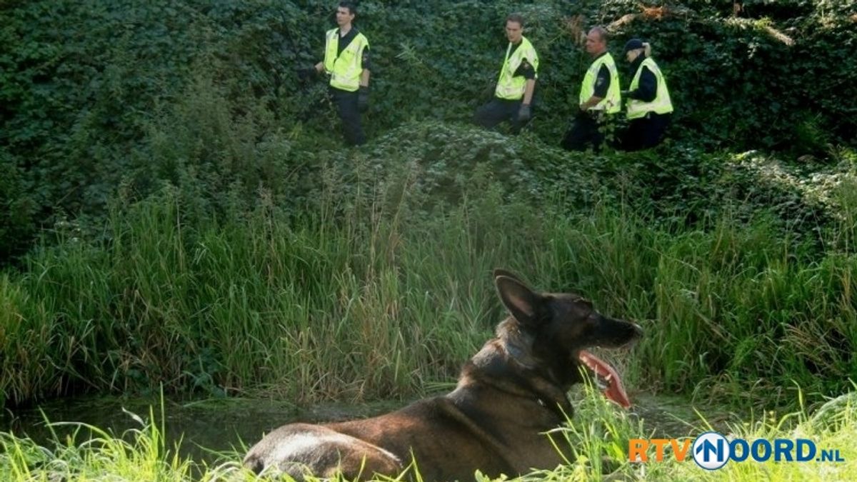 Mobiele Eenheid vindt stukken hout bij station Zuidbroek