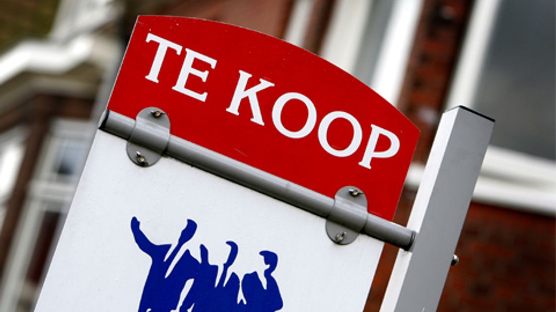 tekoop-starters-rijnwoude-2306