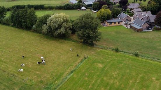 Stikstofzones leveren minder op dan gedacht