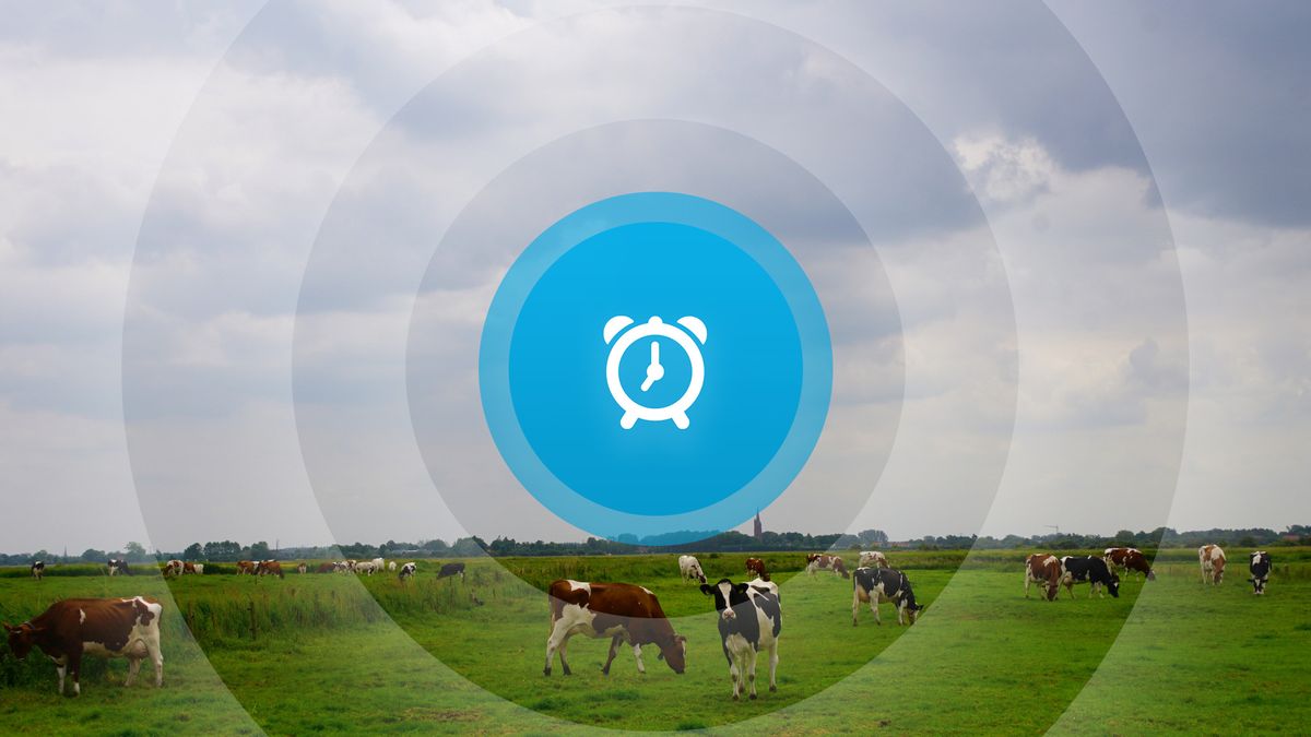 Goedemorgen! ZLM Tour, schade gewassen en Holland House