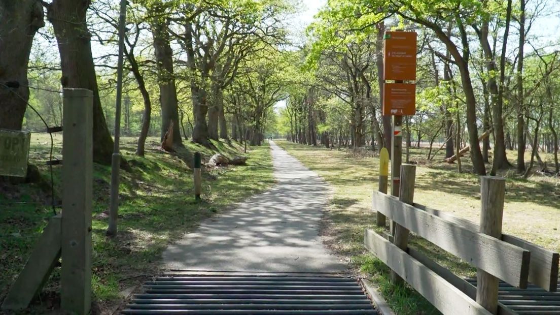 De ingang van het natuurgebied in Sellingen