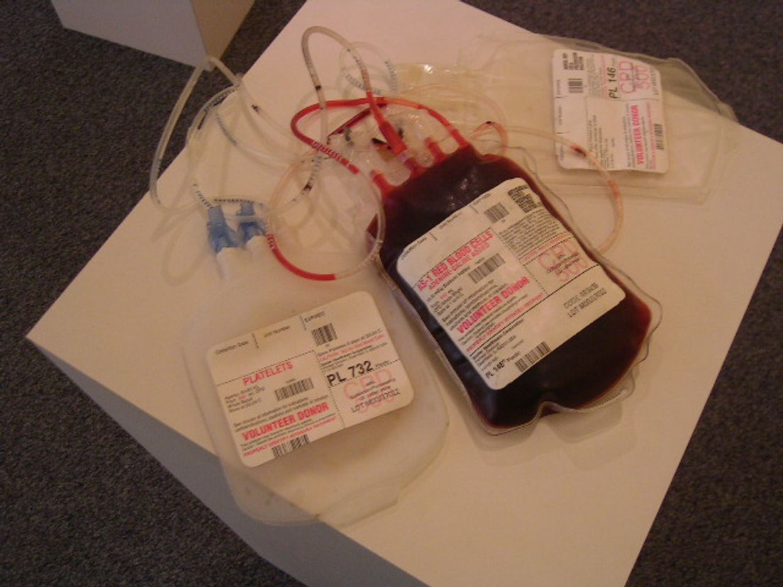 Bloed (flickr cc spike55151)
