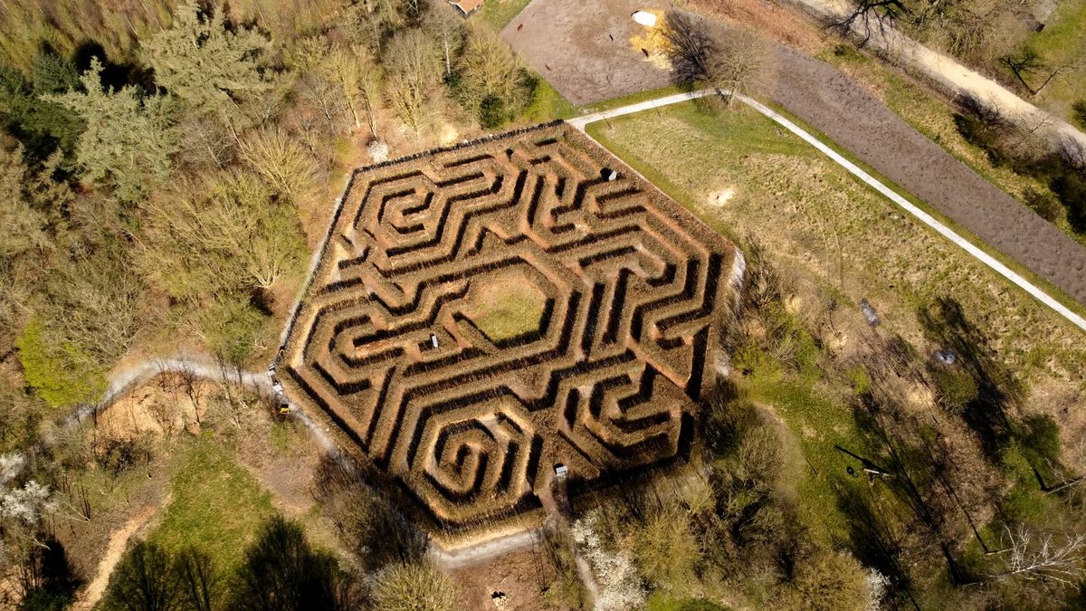 Labyrint in Frederiksoord opgeknapt: 'We brengen er meer groen in terug'