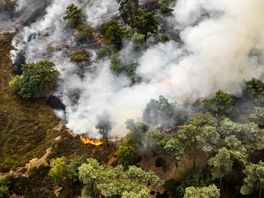 Rook van natuurbrand Limburg trekt over Drenthe: 'Meldkamer wordt overspoeld'