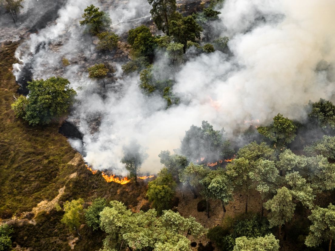 Rook van natuurbrand Limburg trekt over Drenthe: 'Meldkamer wordt overspoeld'