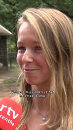 Varkens ingesmeerd