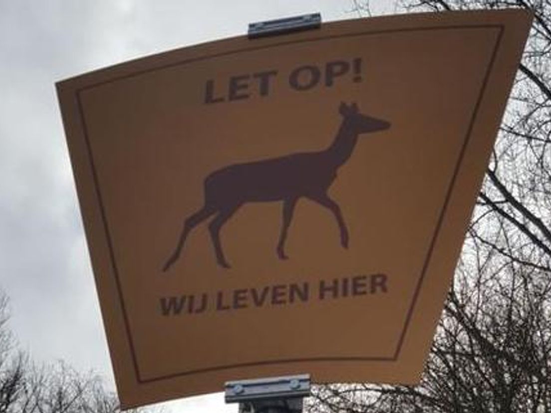 Op de Baanhoekweg in Dordrecht worden geregeld zeldzame dieren aangereden