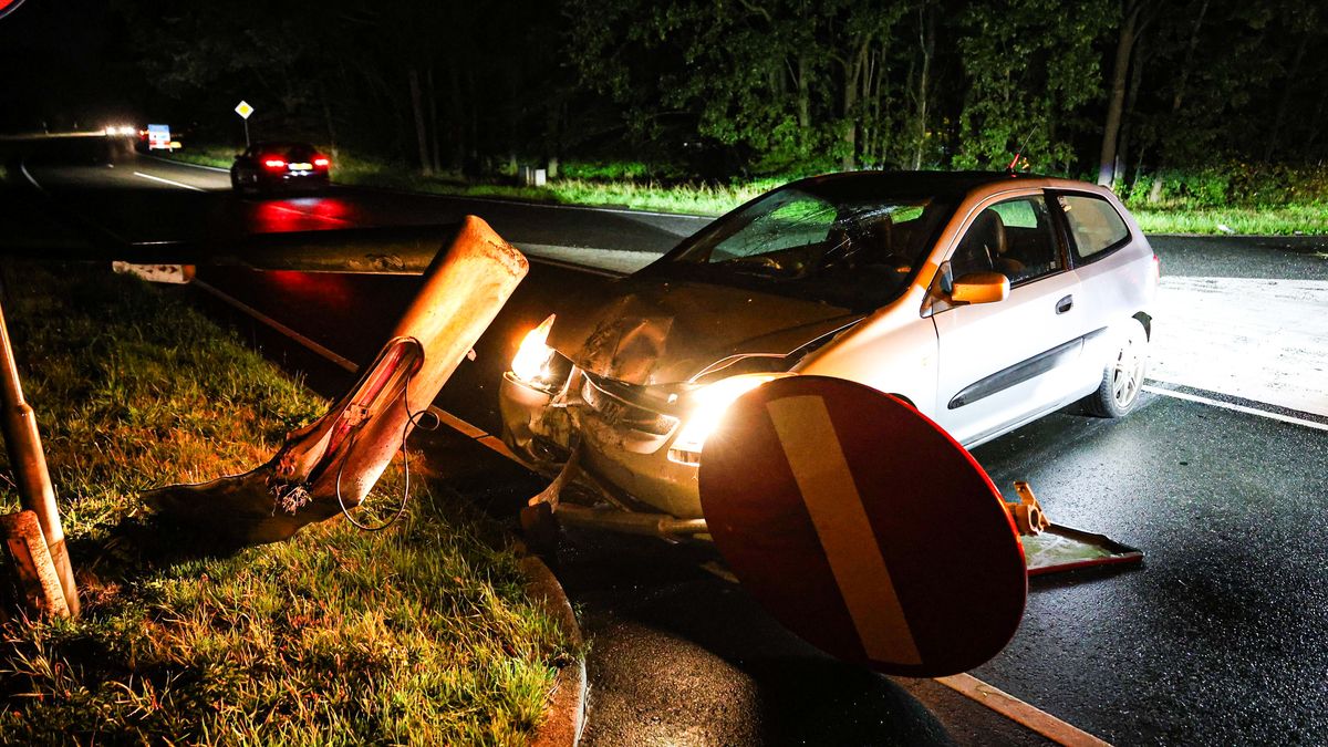 Automobilist rijdt lantaarnpaal en verkeersbord omver in Drachten