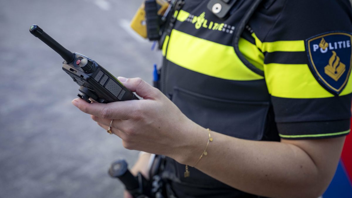 Beschonken bestuurster rijdt tegen plaatsnaambord Nieuwebrug