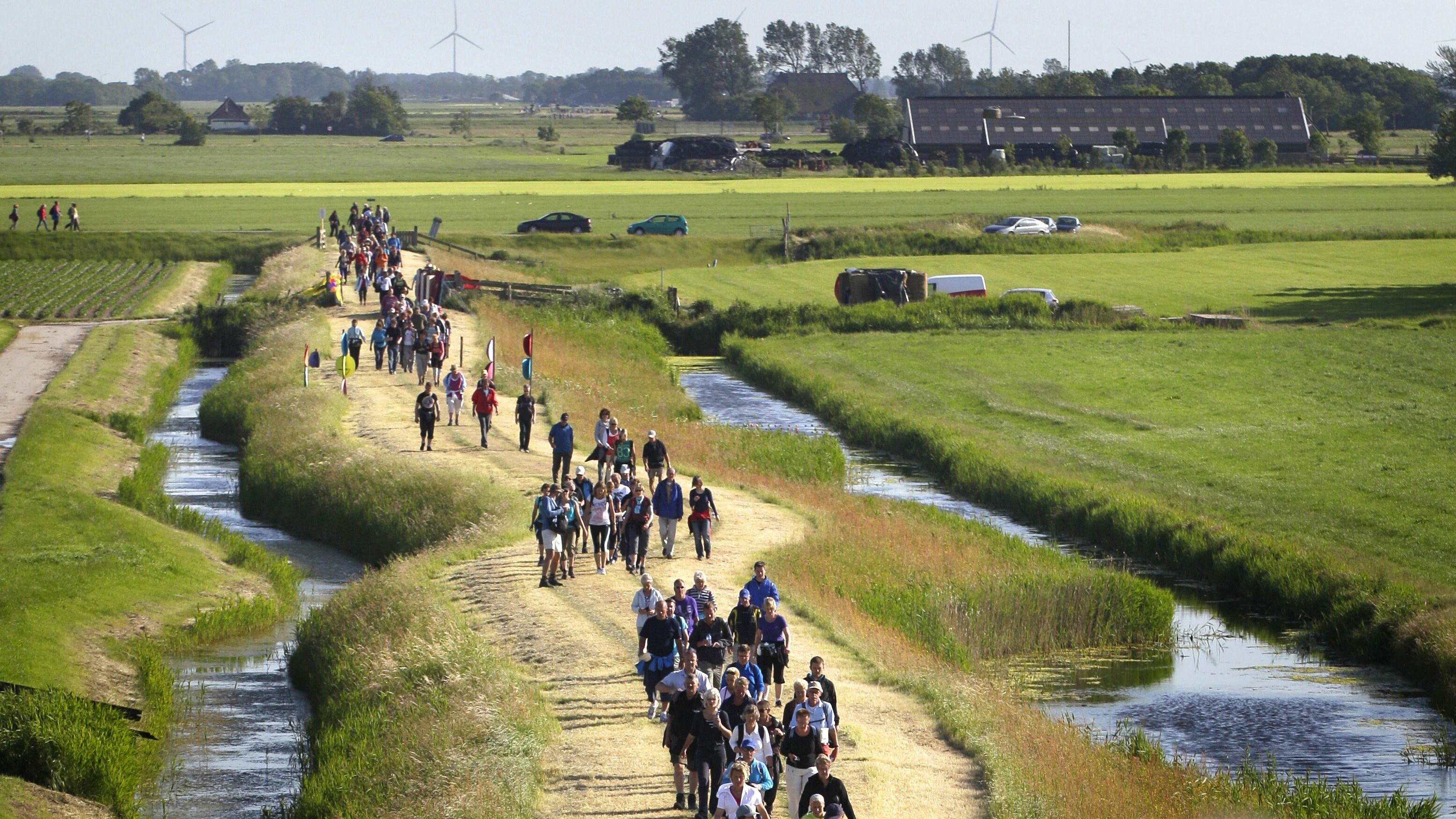Wandelaars op de Slachtedijk tijdens de editie van 2012