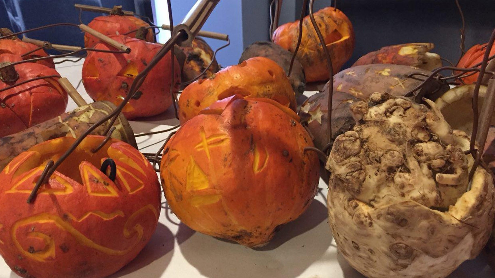 Sint-Maarten lopen, mét klassieke voederbiet, gebeurt in Groningen al