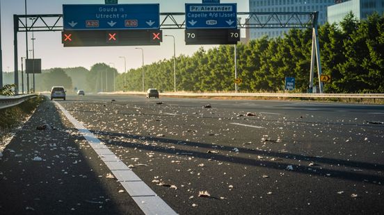 A20 bezaaid met veren en kadavers na botsing automobilist op overstekende ganzen | Gewonden bij schietpartijen in Rotterdam-Cent A20 bezaaid met veren en kadavers na botsing automobilist op overstekende ganzen | Gewonden bij schietpartijen in Rotterdam-Cent