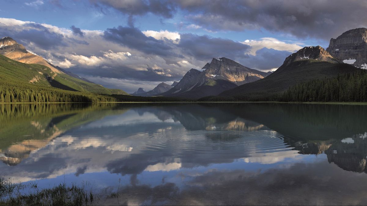 Jisse (11) uit IJsselham derde bij fotowedstrijd National Geographic Junior