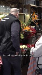 Bloemisten verdwijnen