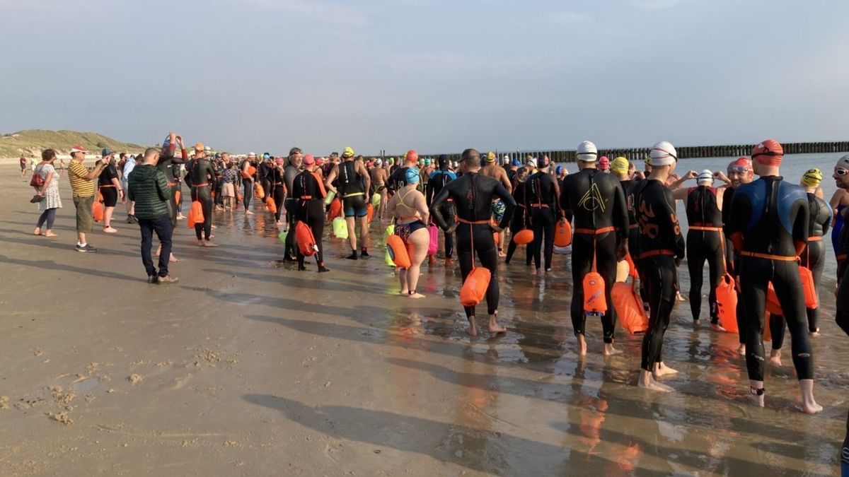Zeezwemtocht van Westkapelle naar Zoutelande zit in drie uur vol: 'De hele Randstad doet mee'